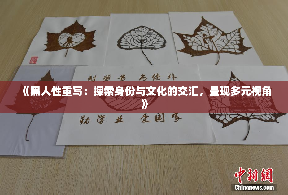 《黑人性重写：探索身份与文化的交汇，呈现多元视角》