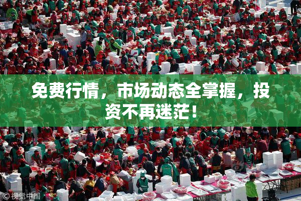 免费行情，市场动态全掌握，投资不再迷茫！