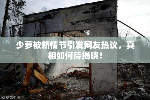 少萝被新情节引发网友热议，真相如何待揭晓！