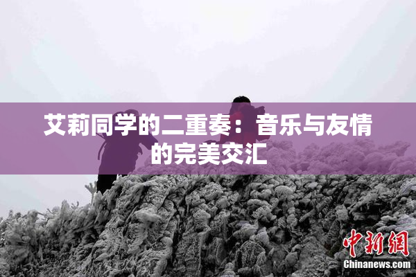 艾莉同学的二重奏：音乐与友情的完美交汇
