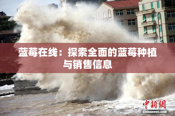 蓝莓在线：探索全面的蓝莓种植与销售信息