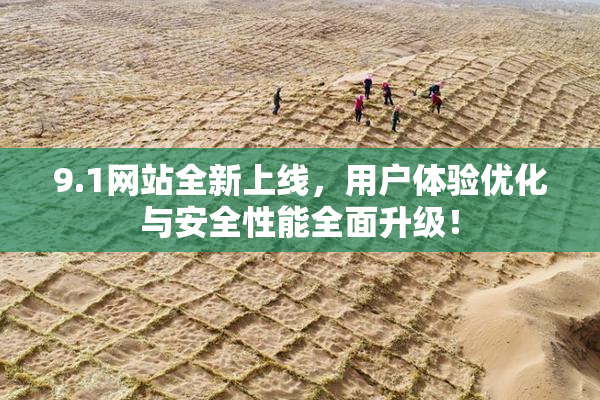9.1网站全新上线，用户体验优化与安全性能全面升级！