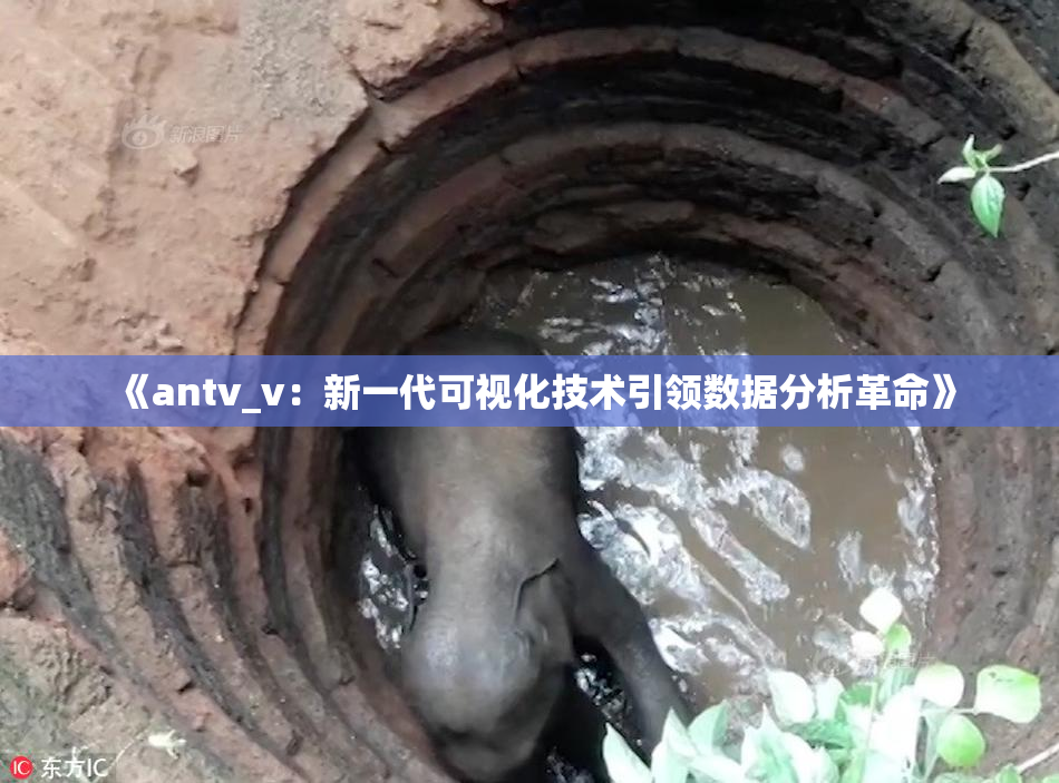 《antv_v：新一代可视化技术引领数据分析革命》