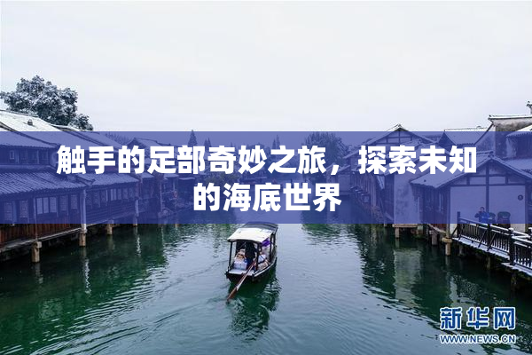 触手的足部奇妙之旅，探索未知的海底世界
