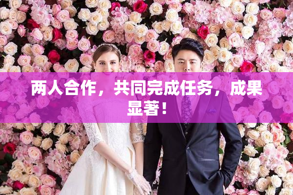 两人合作，共同完成任务，成果显著！