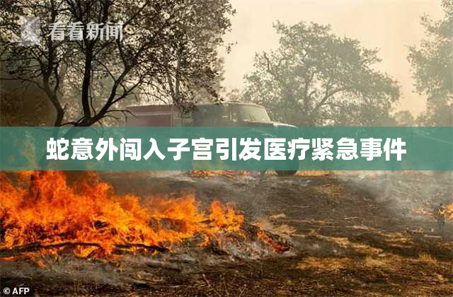 蛇意外闯入子宫引发医疗紧急事件