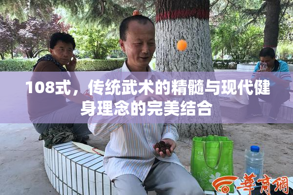 108式，传统武术的精髓与现代健身理念的完美结合