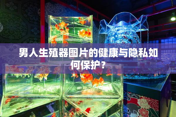 男人生殖器图片的健康与隐私如何保护？