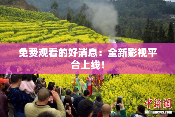 免费观看的好消息：全新影视平台上线！