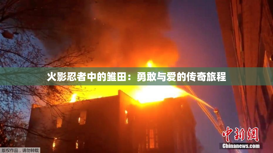 火影忍者中的雏田：勇敢与爱的传奇旅程