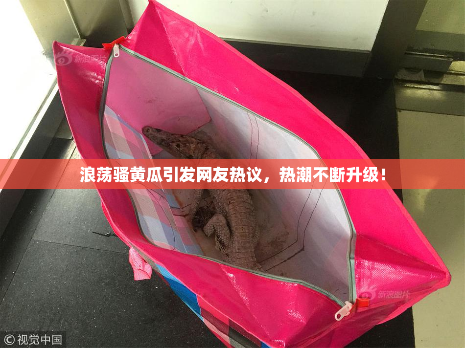 浪荡骚黄瓜引发网友热议，热潮不断升级！
