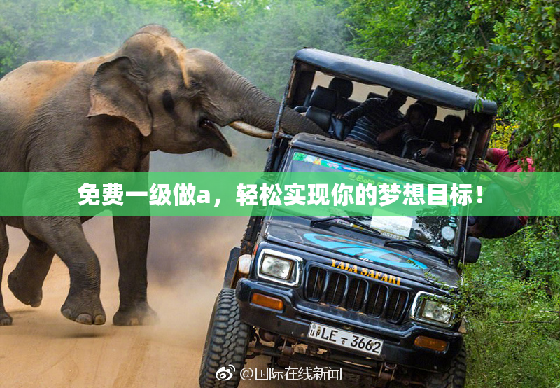 免费一级做a，轻松实现你的梦想目标！