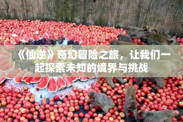 《仙逆》奇幻冒险之旅，让我们一起探索未知的境界与挑战