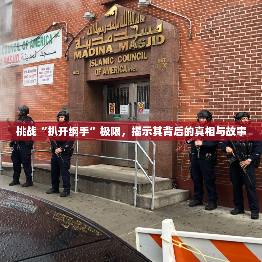 挑战“扒开纲手”极限，揭示其背后的真相与故事