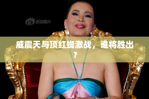 威震天与顶红蜘激战，谁将胜出？