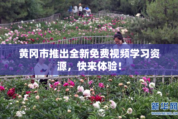 黄冈市推出全新免费视频学习资源，快来体验！