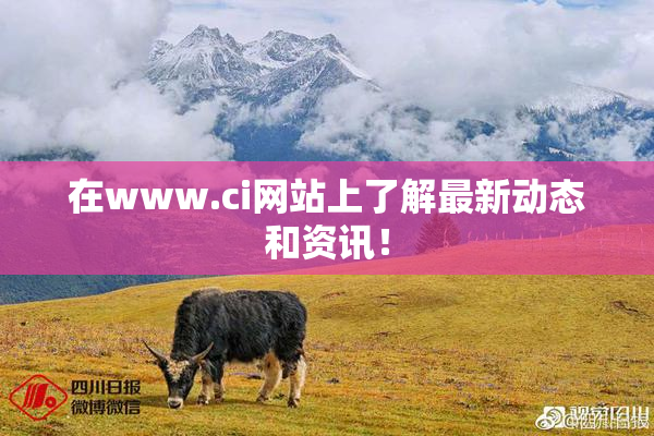 在www.ci网站上了解最新动态和资讯！