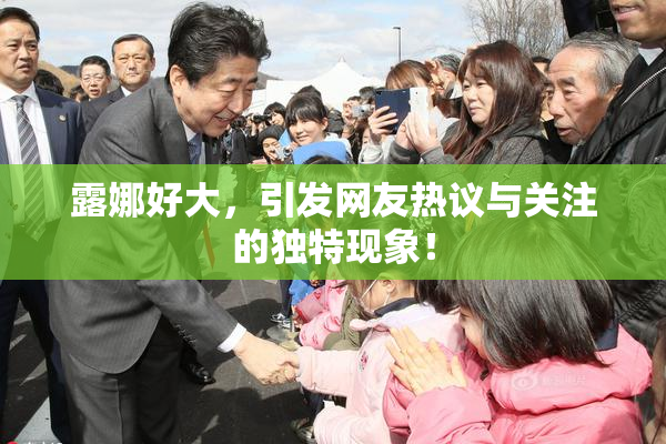 露娜好大，引发网友热议与关注的独特现象！