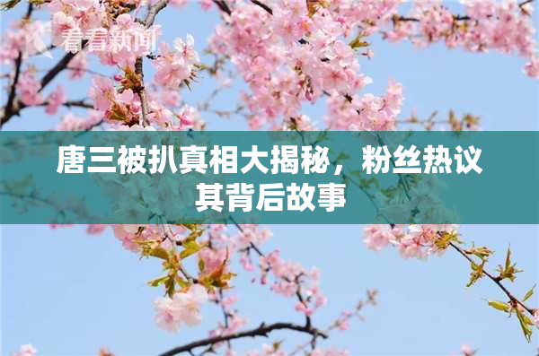 唐三被扒真相大揭秘，粉丝热议其背后故事