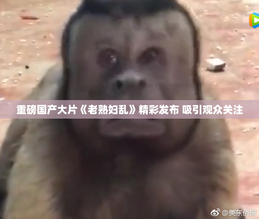 重磅国产大片《老熟妇乱》精彩发布 吸引观众关注