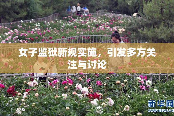 女子监狱新规实施，引发多方关注与讨论