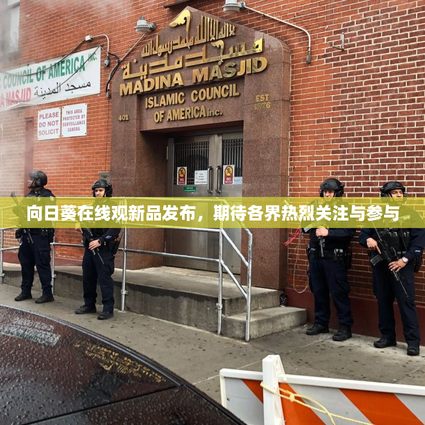 向日葵在线观新品发布，期待各界热烈关注与参与