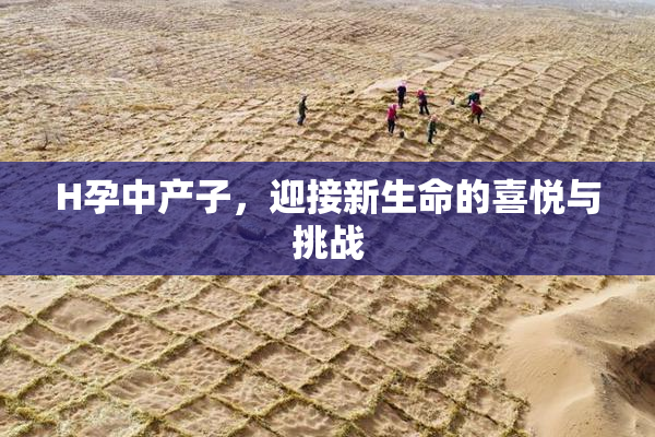 H孕中产子，迎接新生命的喜悦与挑战