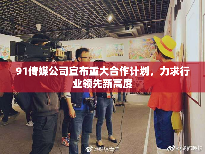91传媒公司宣布重大合作计划，力求行业领先新高度