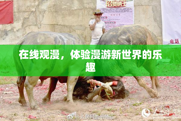 在线观漫，体验漫游新世界的乐趣