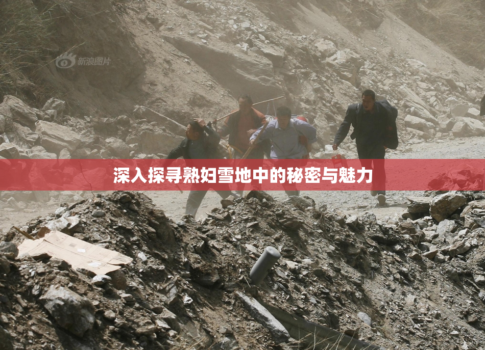 深入探寻熟妇雪地中的秘密与魅力