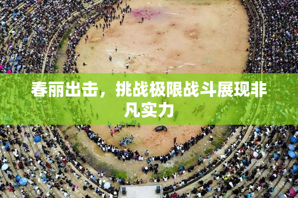 春丽出击，挑战极限战斗展现非凡实力