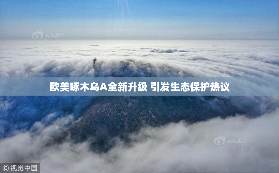欧美啄木乌A全新升级 引发生态保护热议