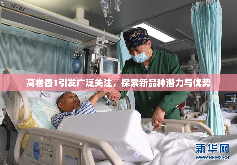 高卷杏1引发广泛关注，探索新品种潜力与优势