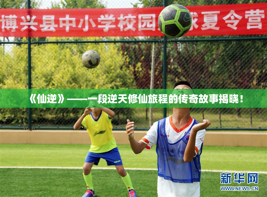 《仙逆》——一段逆天修仙旅程的传奇故事揭晓！