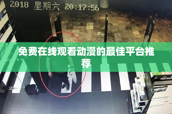 免费在线观看动漫的最佳平台推荐