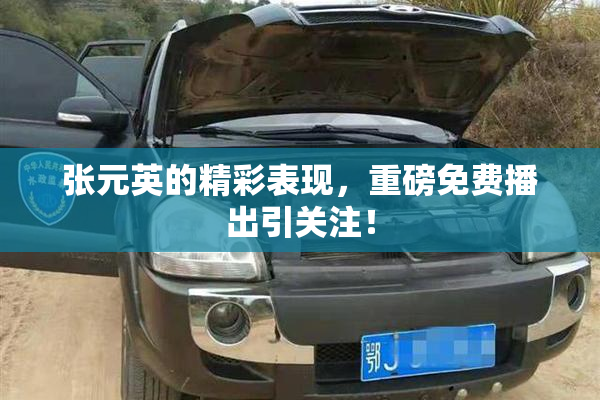 张元英的精彩表现，重磅免费播出引关注！