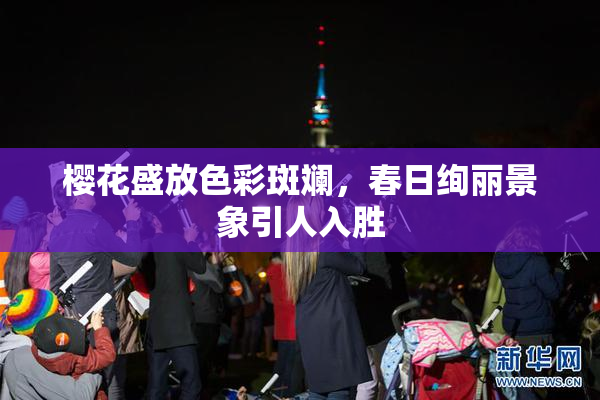 樱花盛放色彩斑斓，春日绚丽景象引人入胜