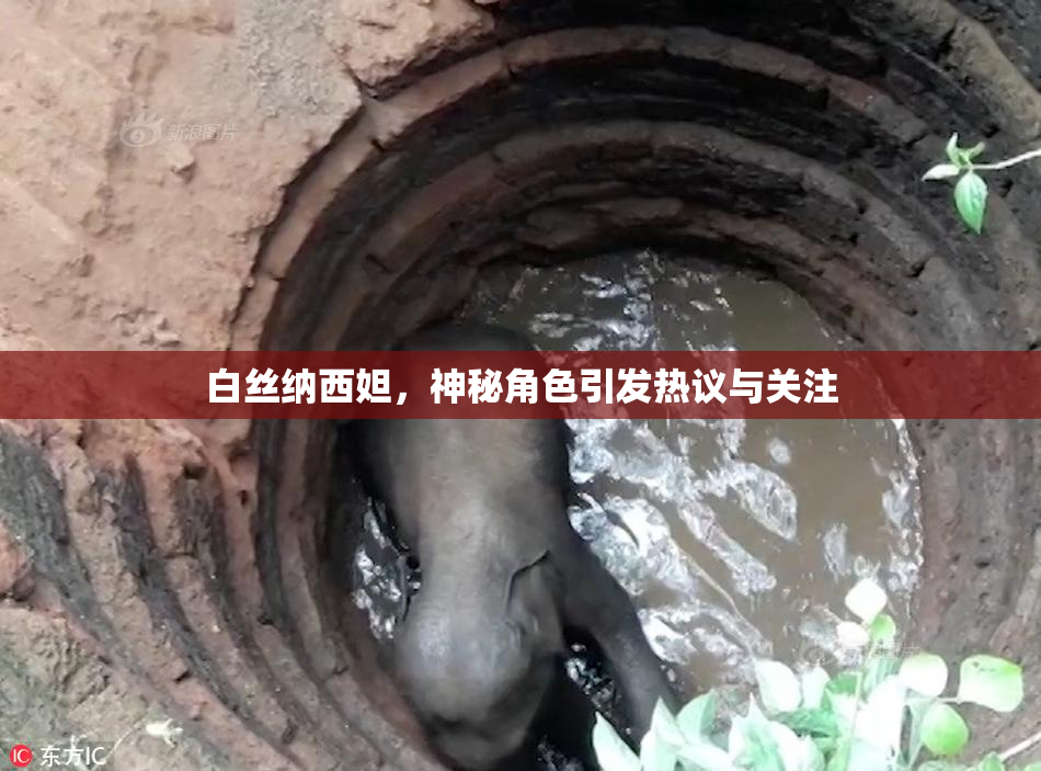 白丝纳西妲，神秘角色引发热议与关注