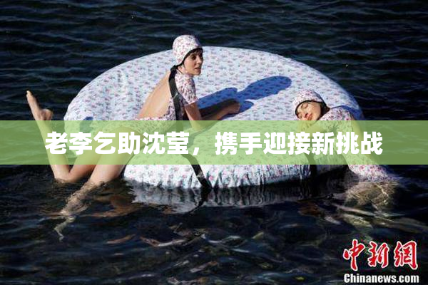 老李乞助沈莹，携手迎接新挑战