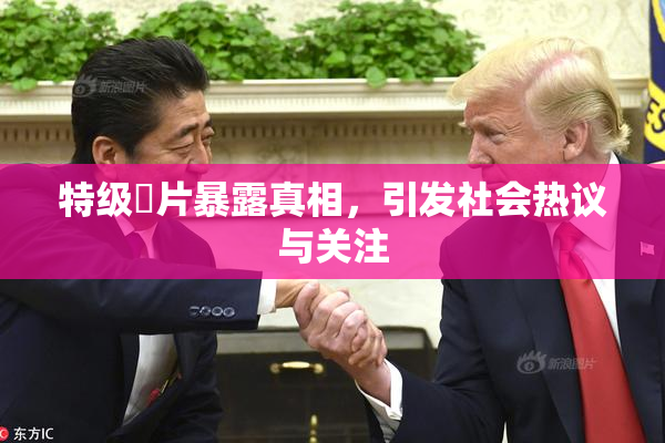 特级婬片暴露真相，引发社会热议与关注