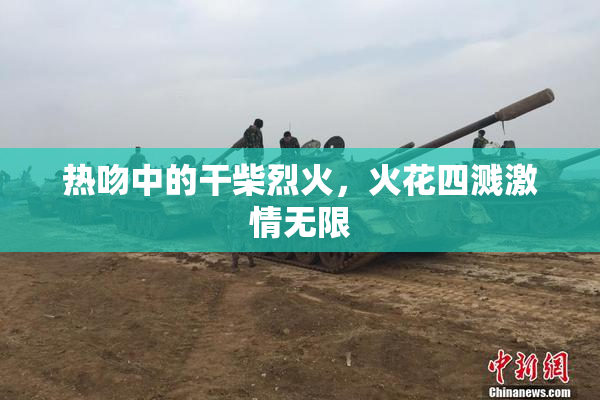 热吻中的干柴烈火，火花四溅激情无限