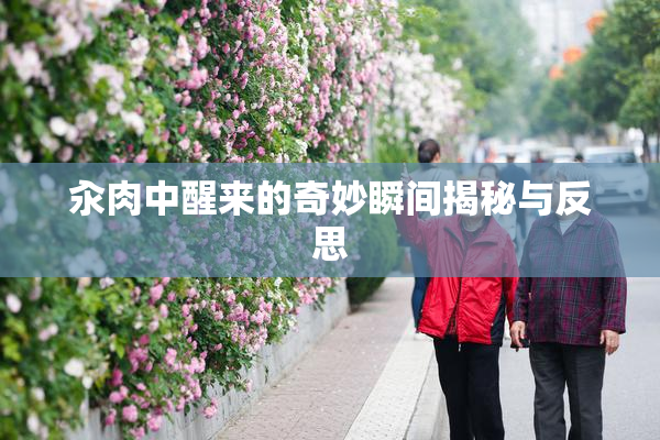 汆肉中醒来的奇妙瞬间揭秘与反思