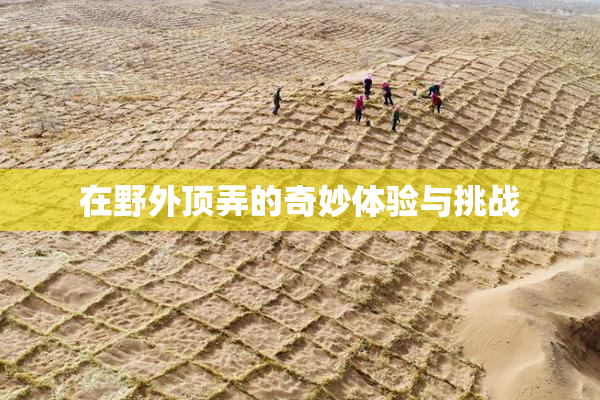 在野外顶弄的奇妙体验与挑战