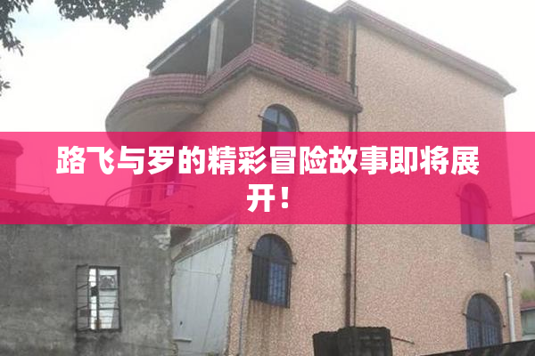路飞与罗的精彩冒险故事即将展开！