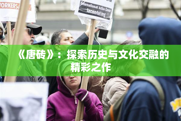 《唐砖》：探索历史与文化交融的精彩之作