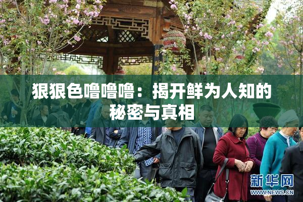 狠狠色噜噜噜：揭开鲜为人知的秘密与真相