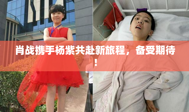 肖战携手杨紫共赴新旅程，备受期待！