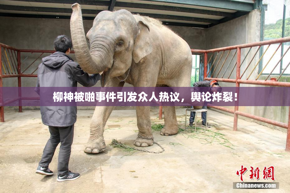 柳神被啪事件引发众人热议，舆论炸裂！