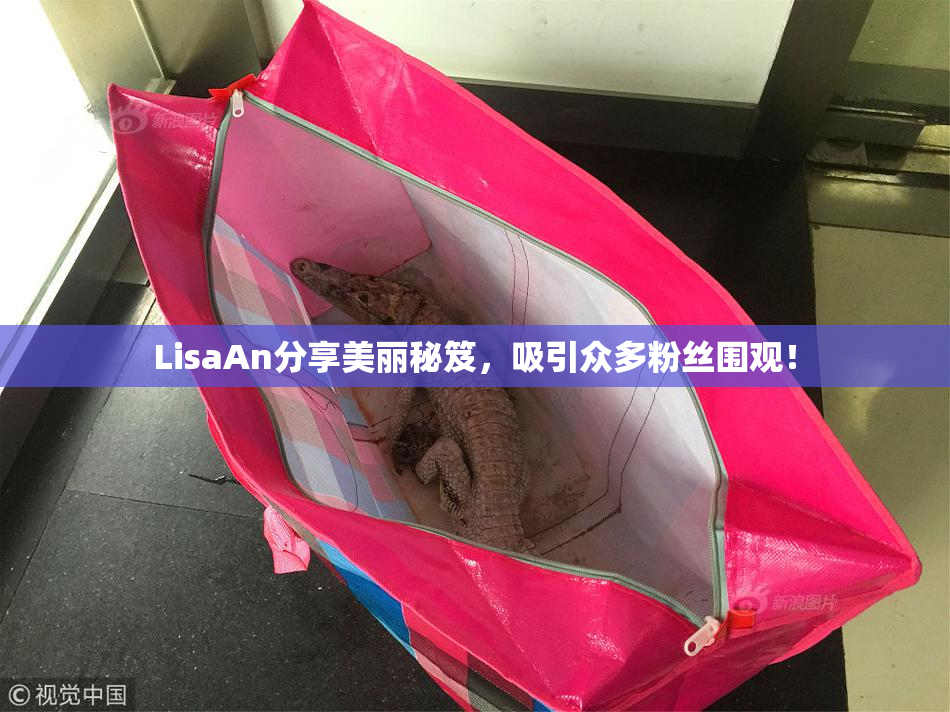 LisaAn分享美丽秘笈，吸引众多粉丝围观！