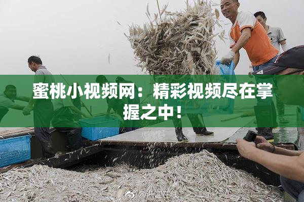 蜜桃小视频网：精彩视频尽在掌握之中！